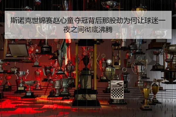 斯诺克世锦赛赵心童夺冠背后那股劲为何让球迷一夜之间彻底沸腾